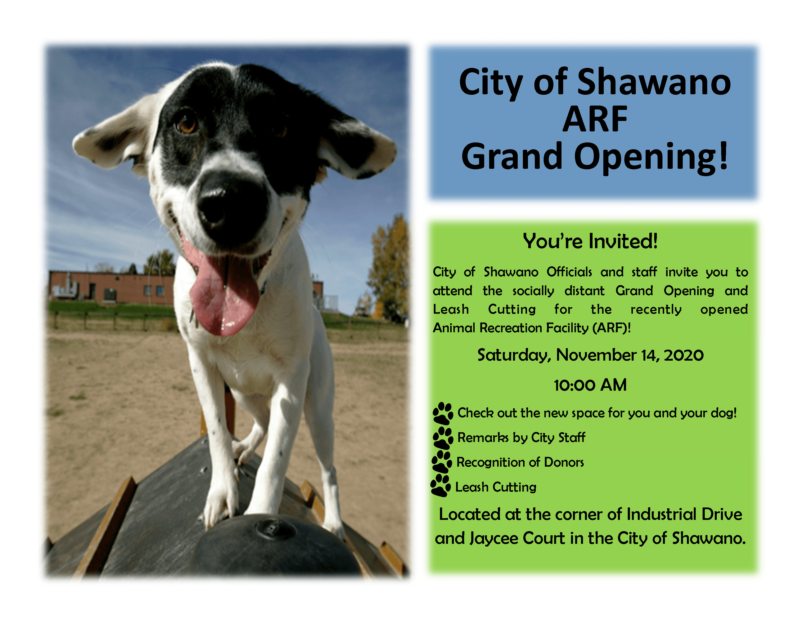 Dog Park Grand Opening Flyer